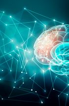 The Leadership Brain: How Neuroscience Helps People to Succeed and Grow
